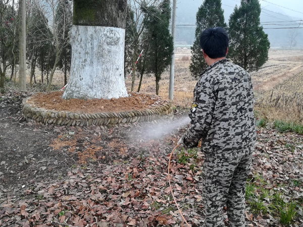 地表病蟲(chóng)害防治